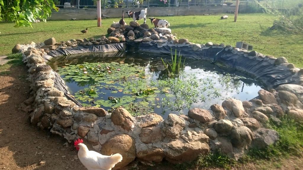 Ciliegissima Bed & Breakfast Pecetto Bagian luar foto